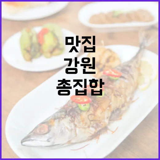 강원 면요리 맛집 총집합