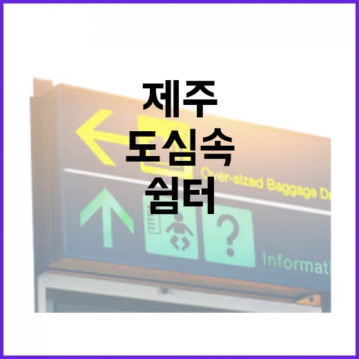 제주 관음사, 도심 속 평화의 쉼터