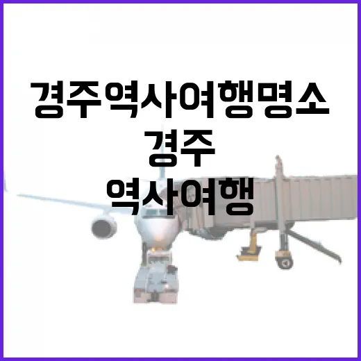 경주 역사여행 명소 완벽 가이드