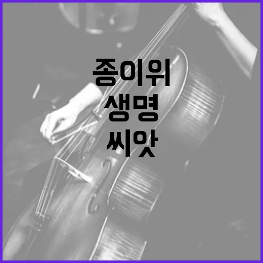 종이 위에 피어난 생명, 씨앗 편지 체험기