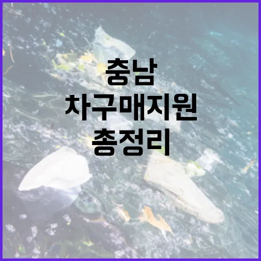 충남 친환경차 구매 지원 총정리