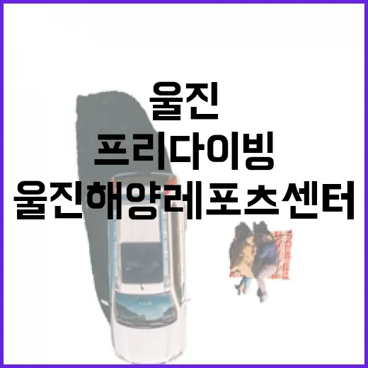 울진해양레포츠센터에서 만나는 프리다이빙