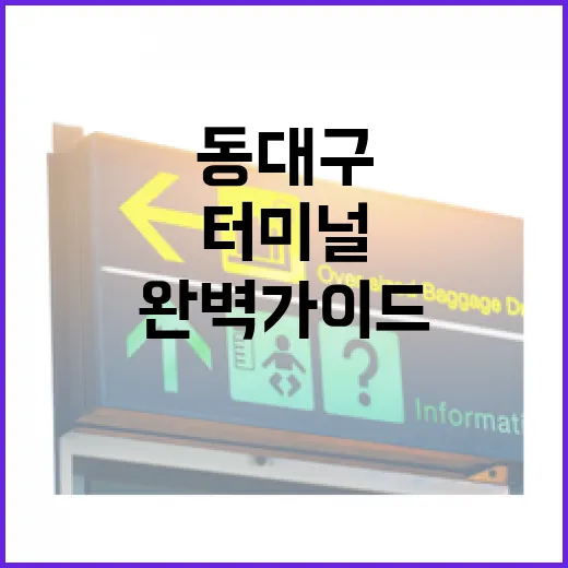 동대구터미널 완벽 가이드