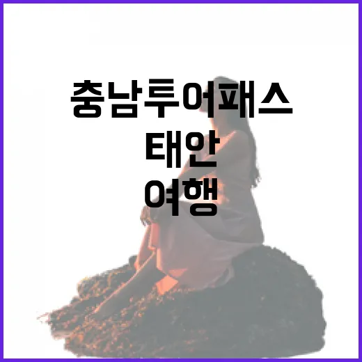 충남투어패스로 만나는 태안 감성여행