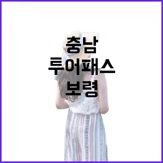 충남 보령, 투어패스로 하루 만끽하기
