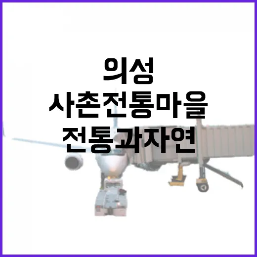 의성 사촌전통마을, 전통과 자연의 조화