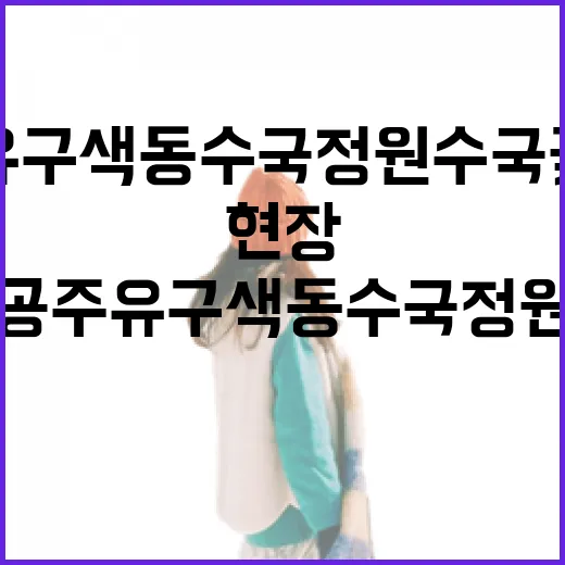 공주 유구색동수국정원 수국꽃 만개 현장