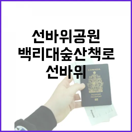 선바위공원 백리대숲 산책로의 자연 속 쉼