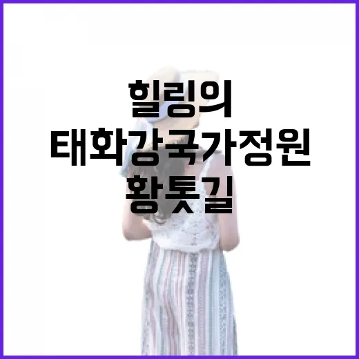 태화강 국가정원 맨발 황톳길, 건강과 힐링의 명소