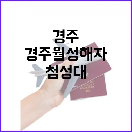 경주 월성해자와 첨성대에서 만나는 싱그러운 여름