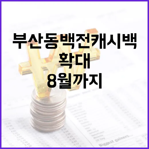 부산 동백전 캐시백 확대 8월까지 연장