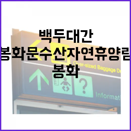 백두대간 품은 봉화 문수산자연휴양림