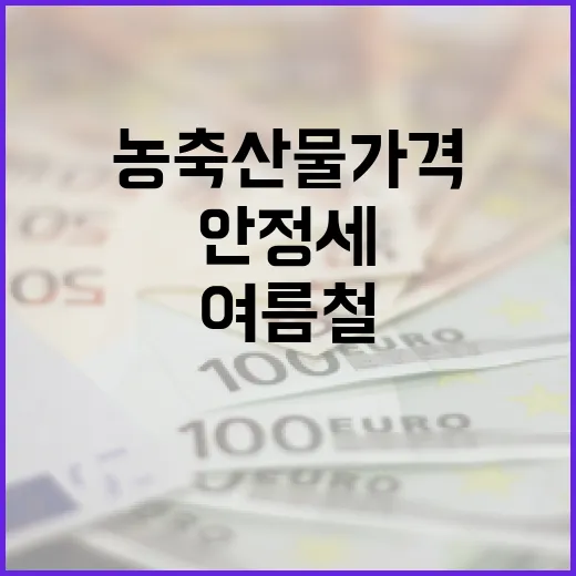 여름철 농축산물 가격, 올해는 안정세