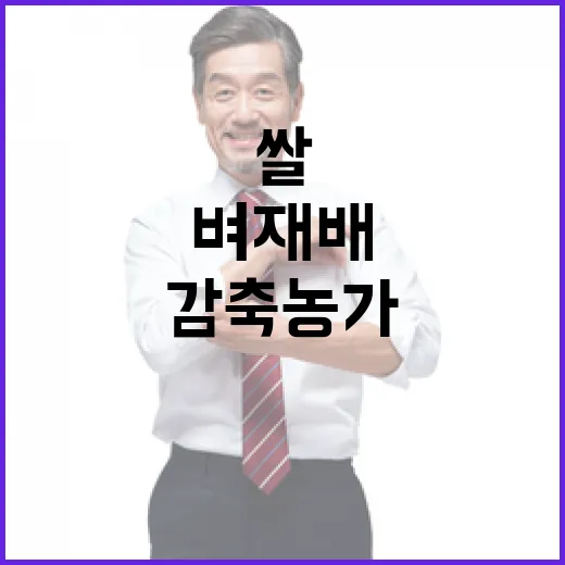 정부, 벼 재배 감축 농가 쌀 매입 검토 사실 아냐