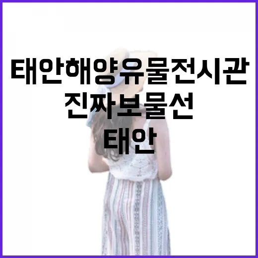 태안 해양유물전시관, 진짜 보물선의 비밀을 만나다