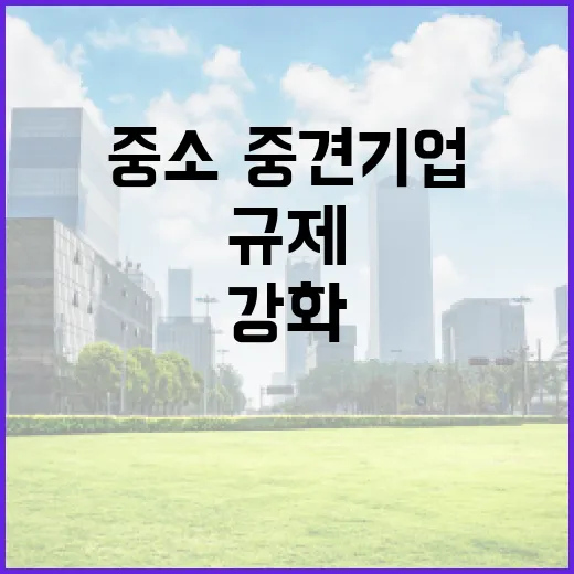 중소·중견기업 수입규제 맞춤형 지원 강화