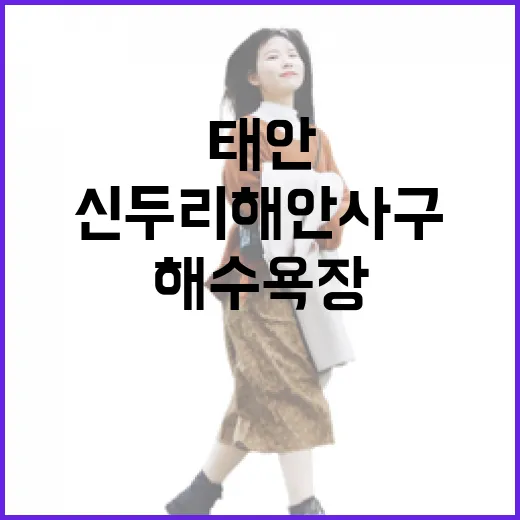 태안 신두리 해안사구와 해수욕장 탐방기