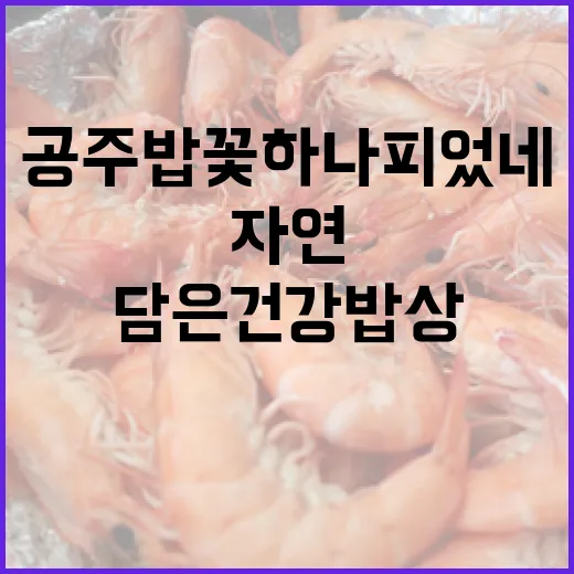 공주 밥꽃하나피었네, 자연 담은 건강 밥상