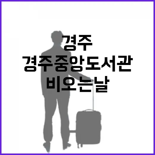 비 오는 날 경주중앙도서관 힐링 산책