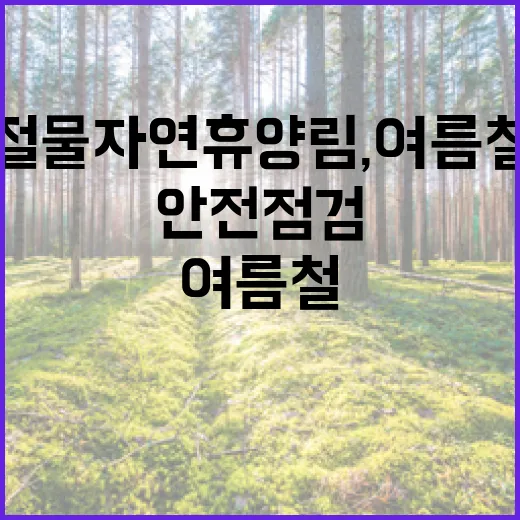 절물자연휴양림, 여름철 안전점검 강화