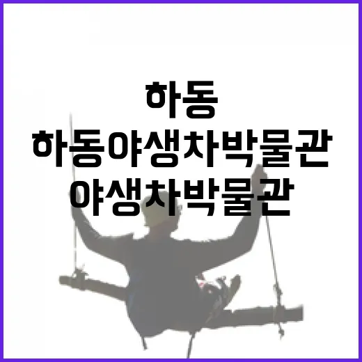 하동야생차박물관, 마음을 다독이는 녹차의 쉼터