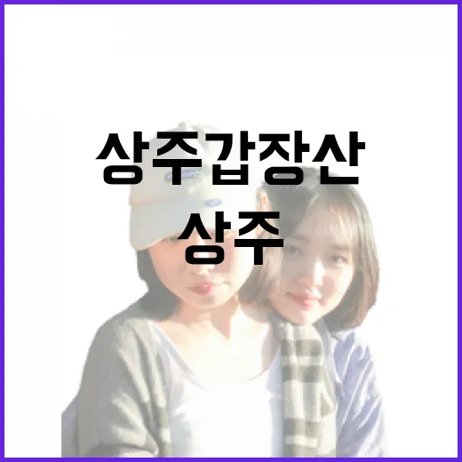 상주 갑장산의 사계절 매력
