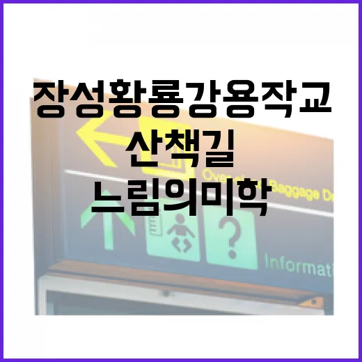 장성 황룡강 용작교, 느림의 미학 산책길