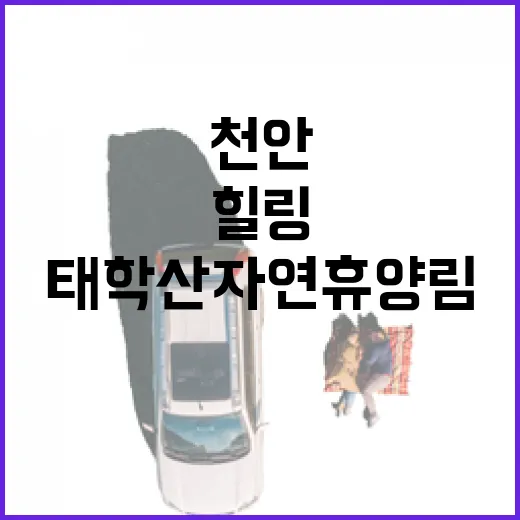 천안 태학산 자연휴양림, 가족 힐링 명소