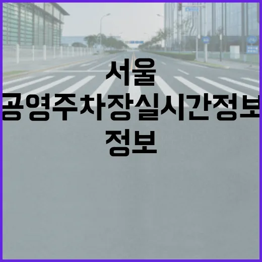 서울 공영주차장 실시간 정보 한눈에 확인