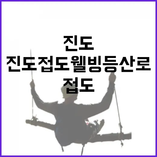 진도 접도 웰빙등산로의 자연과 힐링