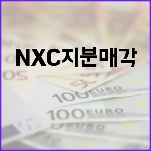 기재부, NXC 지분 매각 절차 착수 사실 확인
