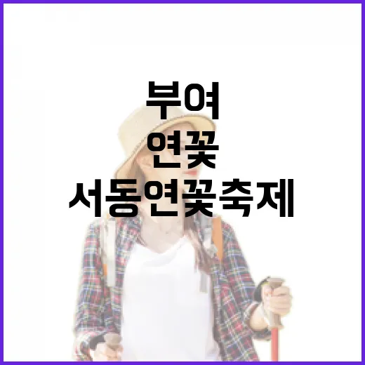 부여 궁남지, 서동연꽃축제 만개 전 풍경