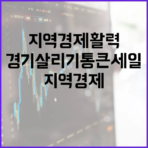 경기 살리기 통큰 세일, 지역 경제 활력 불어넣다