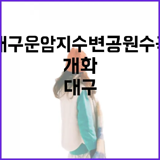 대구 운암지수변공원 수국 개화 시작