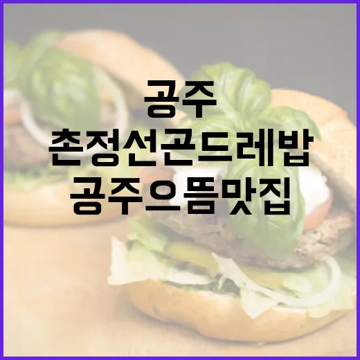 공주 으뜸맛집 촌정선 곤드레밥 건강한 한상