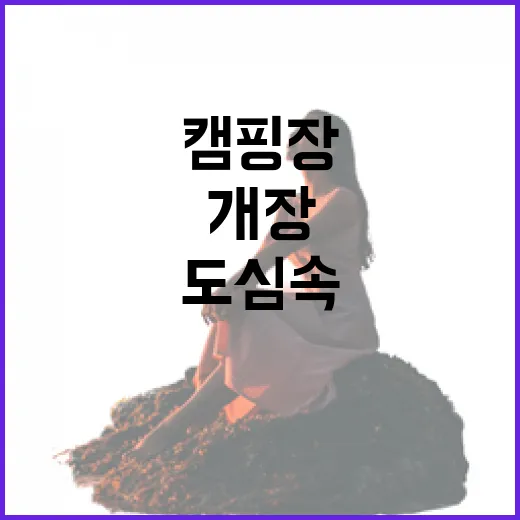 도심 속 자연 힐링 캠핑장 개장