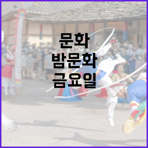 금요일 밤, 문화로 채우는 특별한 시간