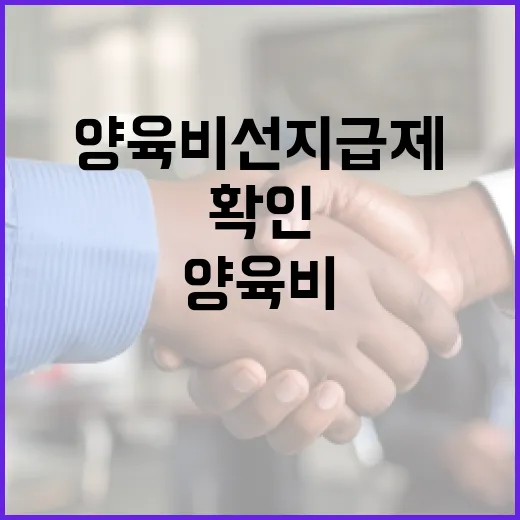 양육비 선지급제 시스템, 오류 없이 안정적 운영 확인