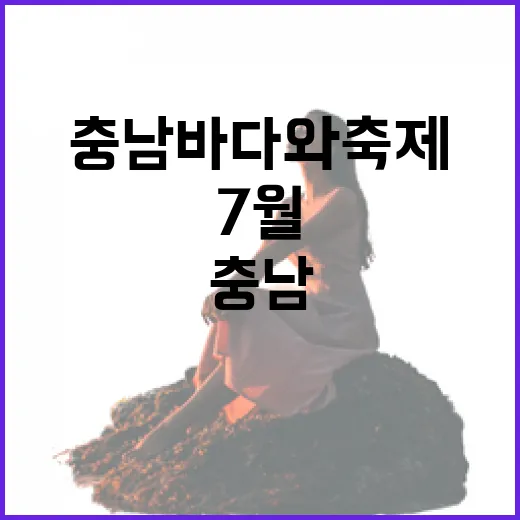7월 충남 바다와 축제의 향연
