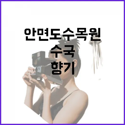 비 내리는 안면도수목원의 수국 향기