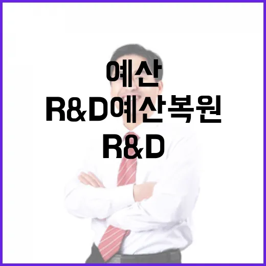 R&D 예산 복원 실상 분석