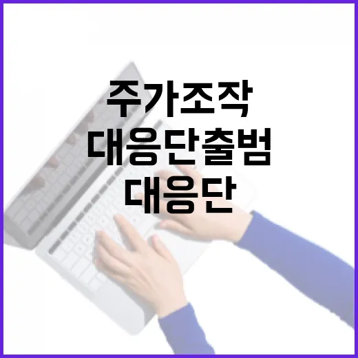 금융위, 주가조작 대응단 출범 보도에 신중 요청