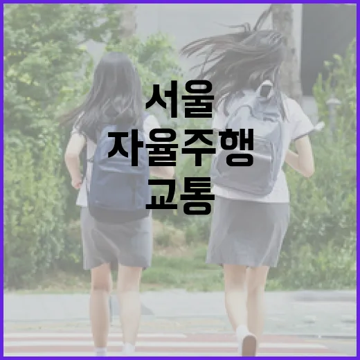 서울 심야 자율주행 교통 혁신 현장