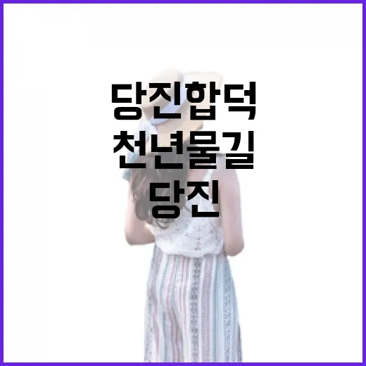 천년 물길 품은 당진 합덕의 숨결