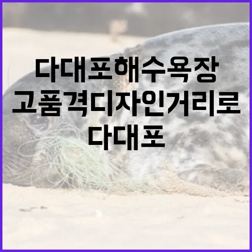 다대포 해수욕장, 고품격 디자인 거리로 변신