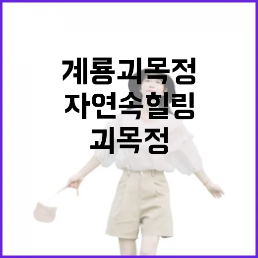 계룡 괴목정, 자연 속 힐링 명소