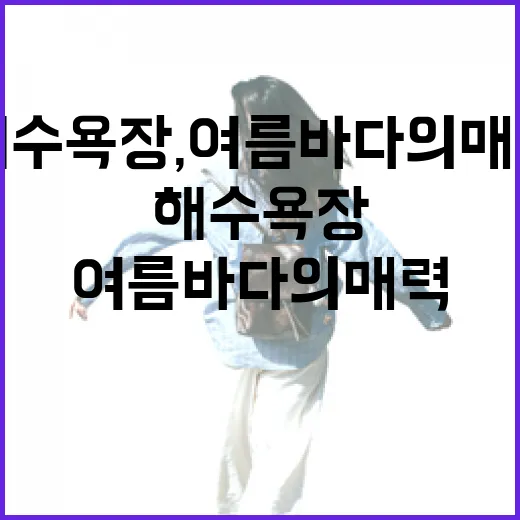 충남 해수욕장, 여름 바다의 매력 속으로