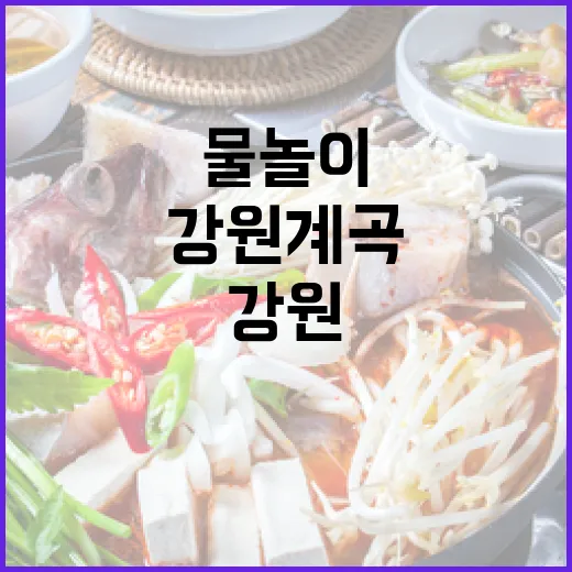 강원 계곡 맛집에서 즐기는 여름 물놀이와 보양식