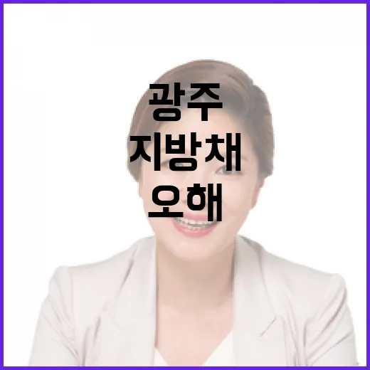 광주 지방채, 진실과 오해 해부