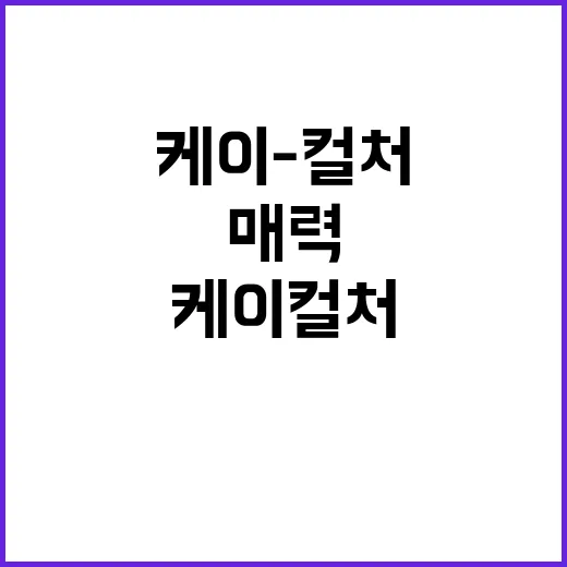 52개 도시서 케이…